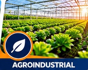 Sector Agroindustrial